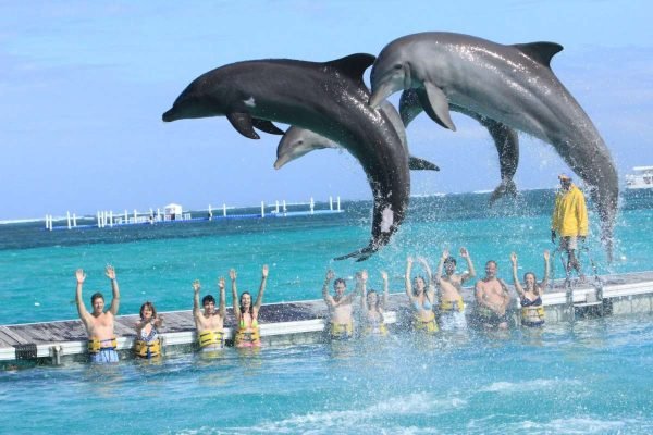 Idear_Punta Cana03